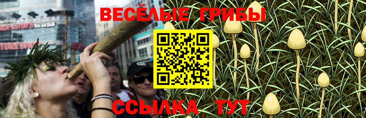 Майкоп  Галлюциногенные грибы прущие грибы  Вход с VPN  Галлюциногенные грибы мухоморы 